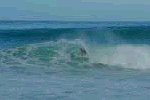 Video MM