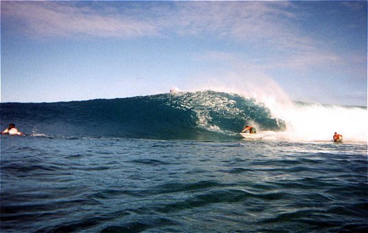 Bud and bodyboarder